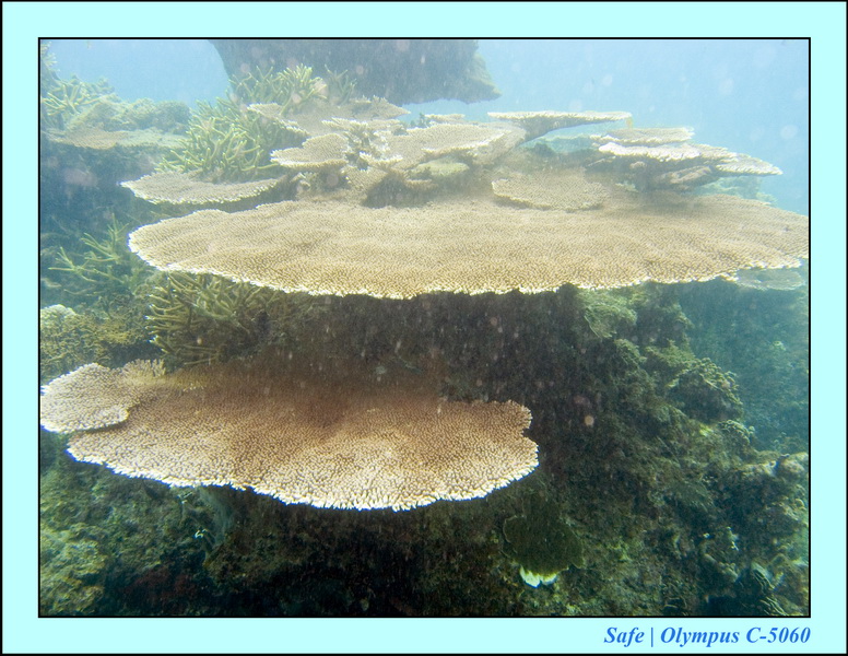 2008 - 07 - Perhentian - 036